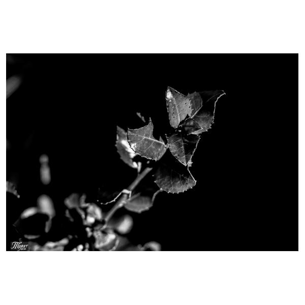 PHOTO84, CLUB, 84 , LUBERON